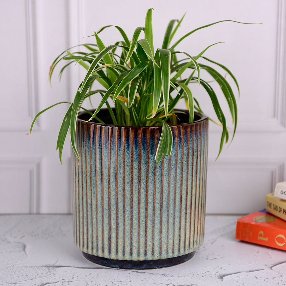 Fluted Planter