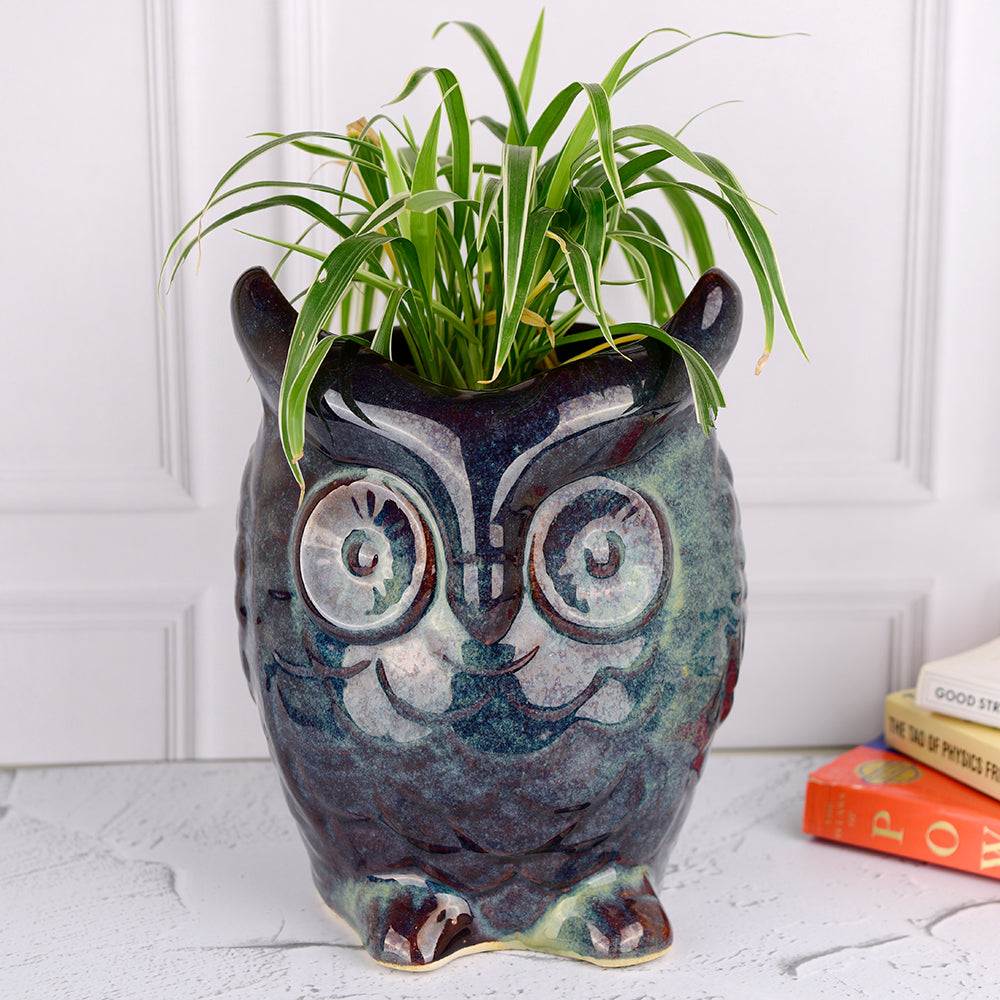 Owl Planter